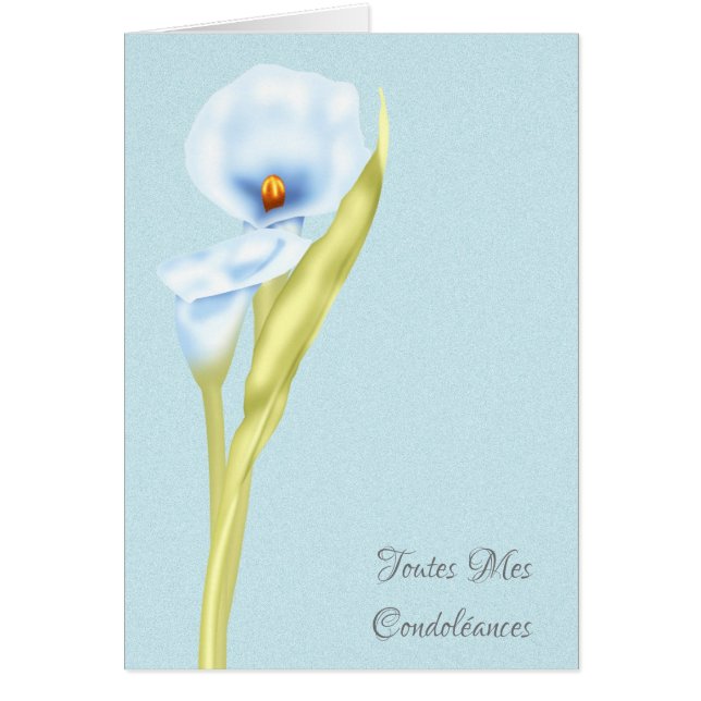 Toutes Mes Condoleances French Simply Stated (Front)