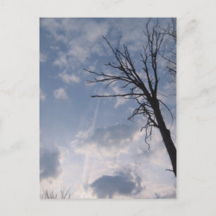 towards heaven postcard