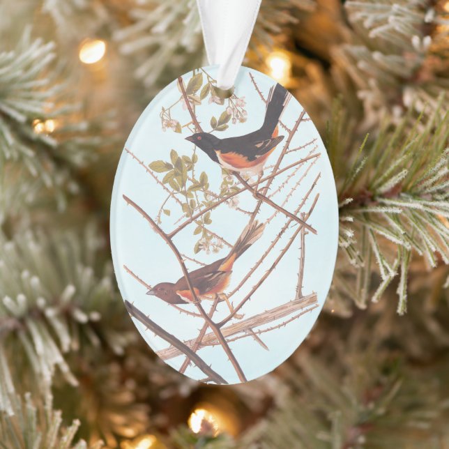Towee Bunting Audubon Black and Orange Song Birds Ornament (Tree)