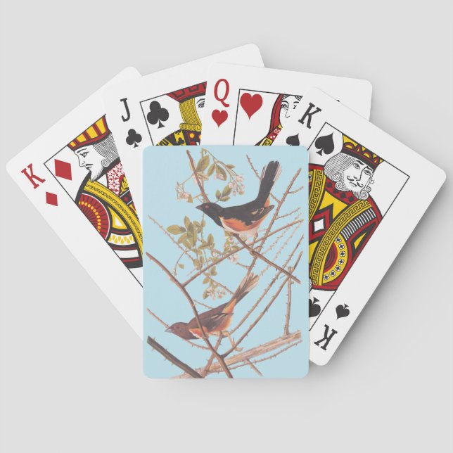 Towee Bunting Audubon Black and Orange Song Birds Playing Cards (Back)