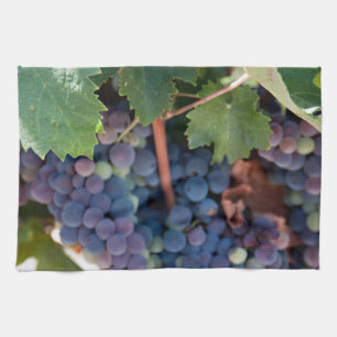 Towels / Hand - Grapes by the Vine