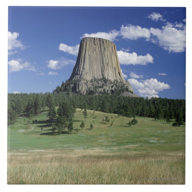 Tower is 1,267 feet. tile (Front)