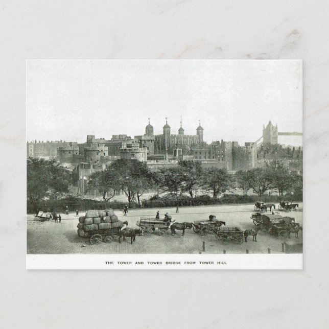 Tower of London 1900 Postcard (Front)