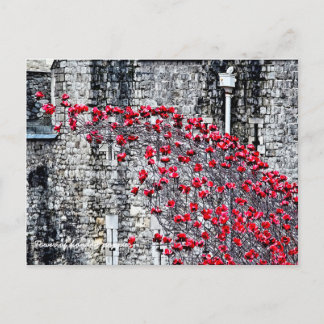 Tower of London Poppies Postcard