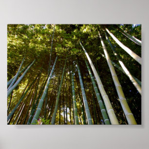 Towering Bamboos Poster