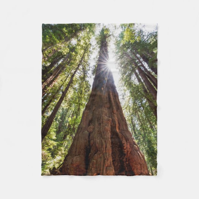 Towering Redwoods Fleece Blanket (Front)