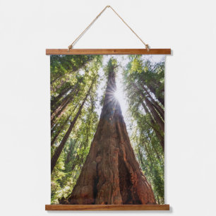Towering Redwoods Hanging Tapestry