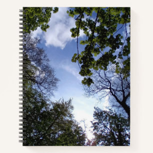 Towering trees - part of the trees series notebook