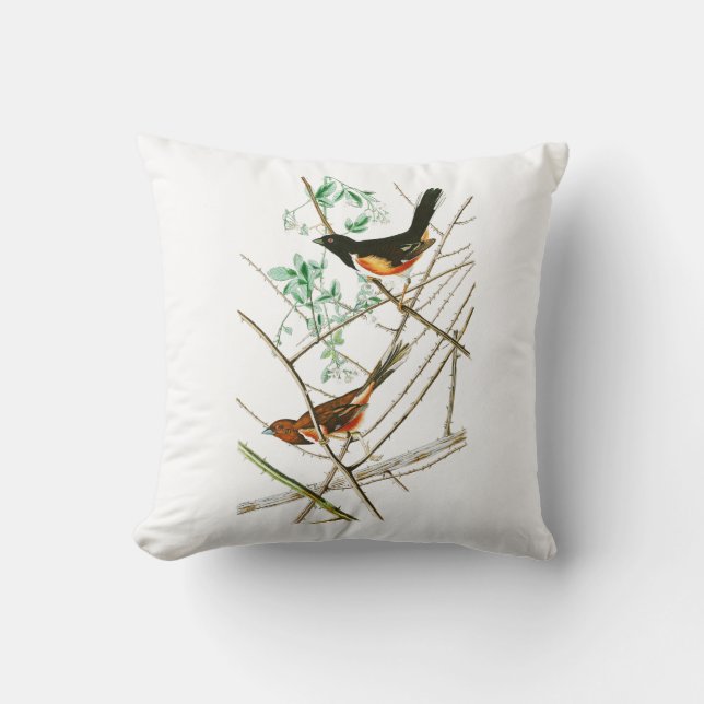 Towhe Bunting John James Audubon Birds of America Throw Pillow (Front)