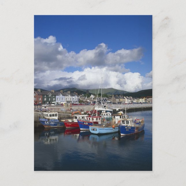 Town and Harbour, Dingle, County Kerry, Postcard (Front)
