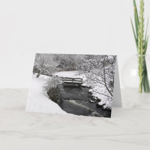 Town Brook in Plymouth, Massachusetts Holiday Card