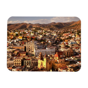 Town View From Above Magnet