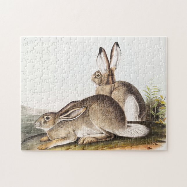 Townsend's Rocky Mountain Hare (Lepus Townsendii) Jigsaw Puzzle (Horizontal)