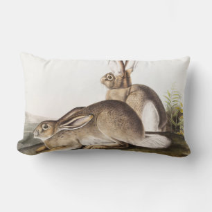 Townsend's Rocky Mountain Hare (Lepus Townsendii) Lumbar Pillow
