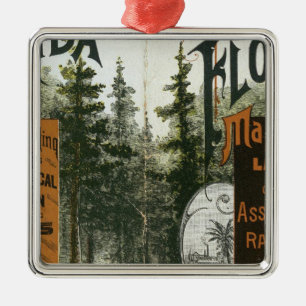 Township Map, Florida Metal Ornament