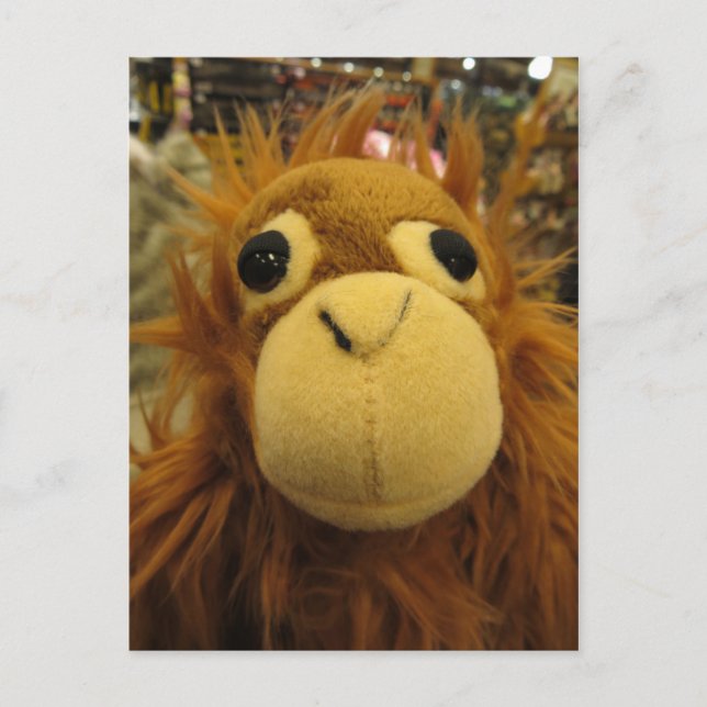 Toy Ape Postcard (Front)