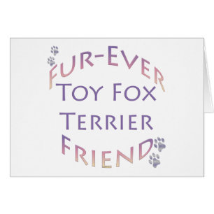 Toy Fox Terrier Furever Friend
