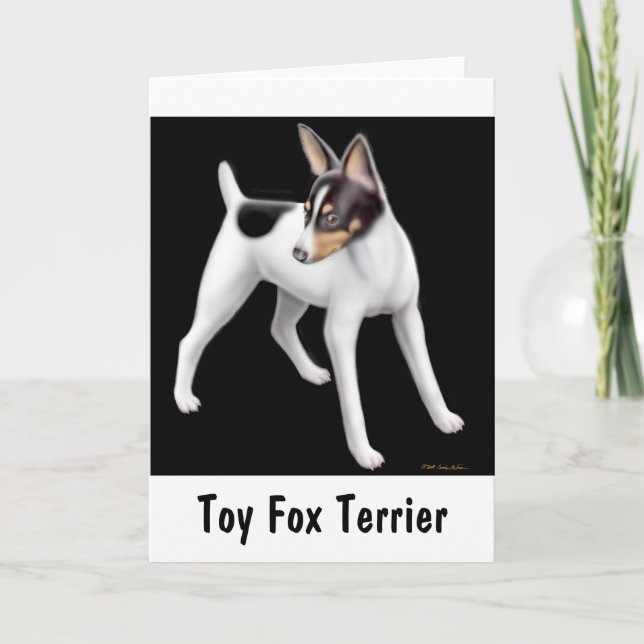 Toy Fox Terrier Greeting Card  (Front)