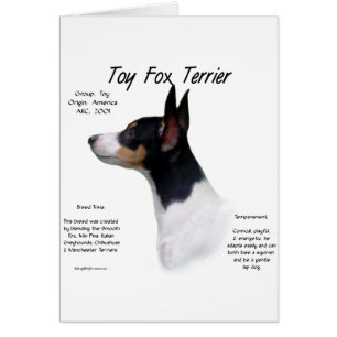 Toy Fox Terrier Histoire Conception