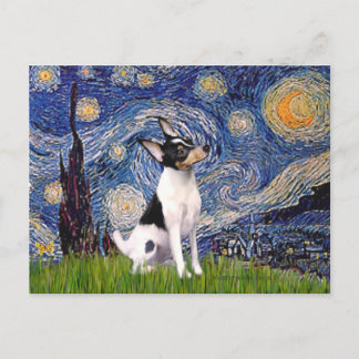 Toy Fox Terrier - Starry Night Postcard