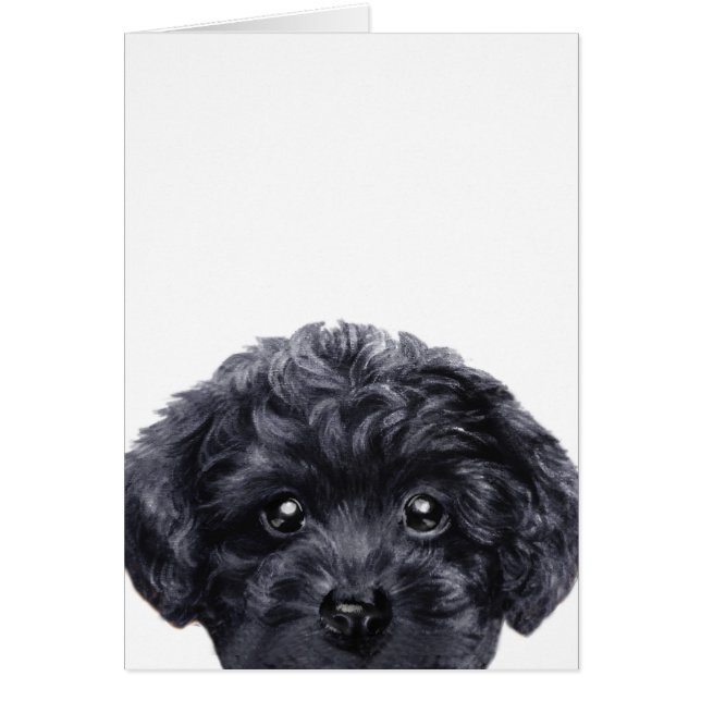 Toy poodle black, original deign by miart (Front)