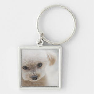 toy poodle keychain