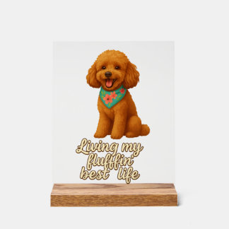 Toy Poodle � Living My Fluffin� Best Life Acrylic Sign