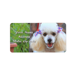 Toy Poodle puppy address labels