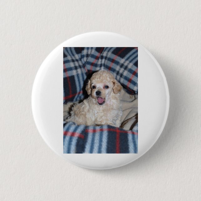 Toy Poodle Puppy Talking 2 Inch Round Button (Front)