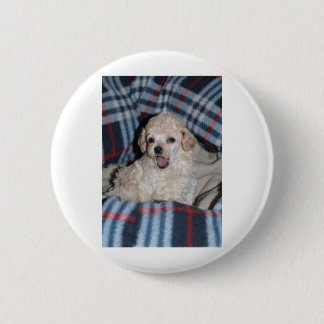 Toy Poodle Puppy Talking 2 Inch Round Button
