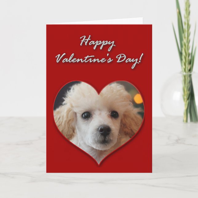 Toy Poodle puppy Valentines Day Card (Front)