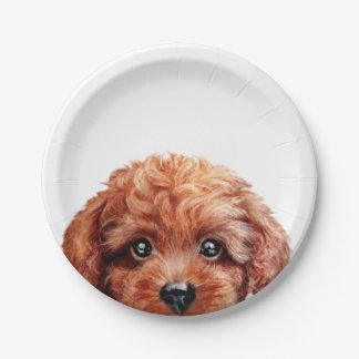 Toy poodle reddish brown original by miart paper plate