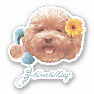 Toy Poodle with Flower and Phone Illustration