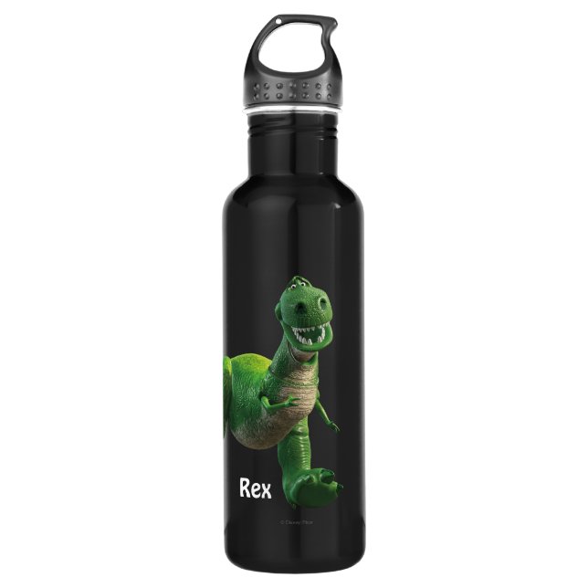 Toy Story 3 - Rex 710 Ml Water Bottle (Front)