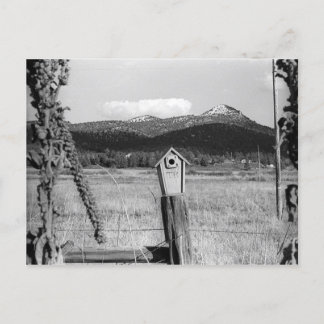 TR Bluebird House Postcard