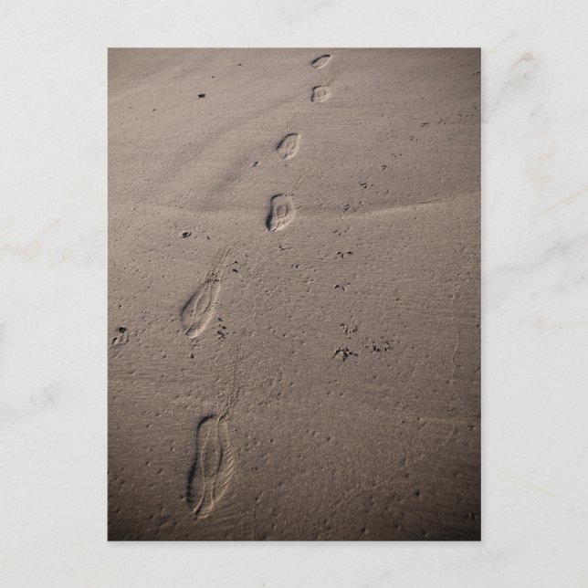 Traces in the sand - beach footprints postcard (Front)