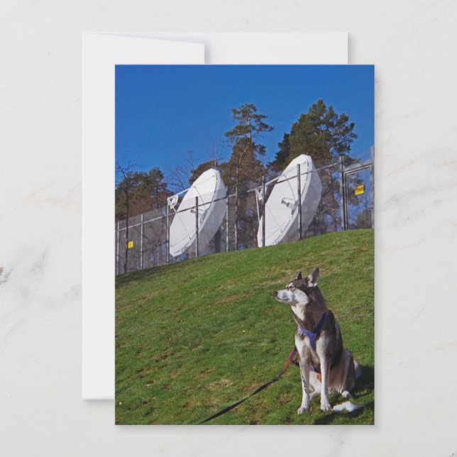 Tracker dog card (Front)