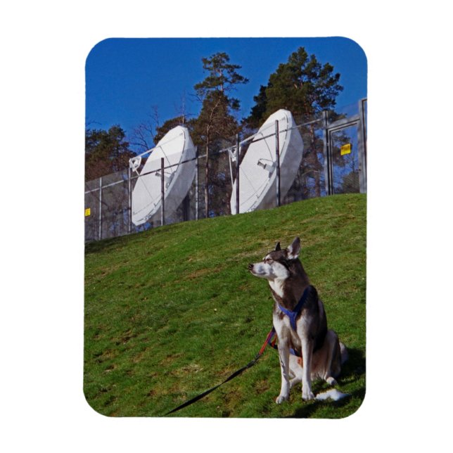 Tracker dog magnet (Vertical)