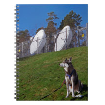 Tracker dog