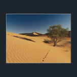 tracks in desert landscape of Namib at Postcard<br><div class="desc">AssetID: 120473815 / Juergen Ritterbach / tracks in desert landscape of Namib at Sossusvlei, Namib-Naukluft National Park, Namibia, Africa</div>