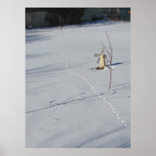 Tracks in Snow ~ print