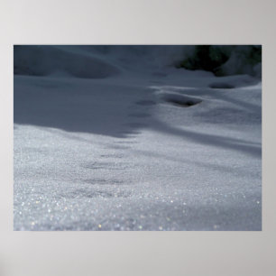 Tracks in the Snow Poster