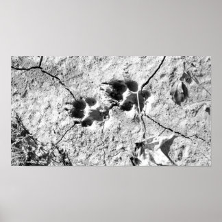 Tracks Poster
