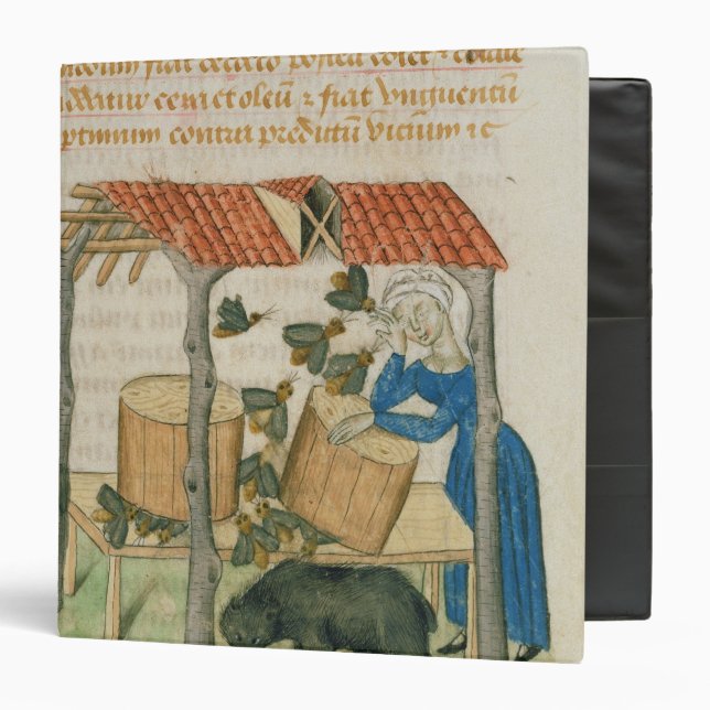 Tractatus de Herbis' Binder (Front/Inside)