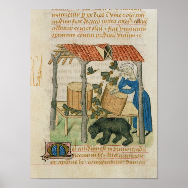 Tractatus de Herbis' Poster (Front)