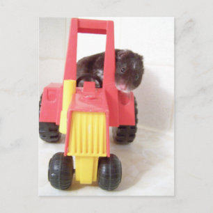 tractor driving noah postcard