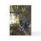 Tractor greeting card