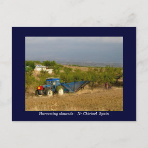 Tractor harvesting almonds rural Spain Postcard