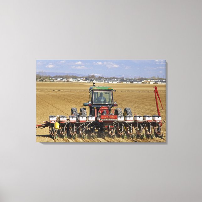 Tractor pulling a seed corn planter. canvas print (Front)