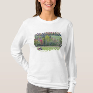 Tractor with hay bale in green field with T-Shirt